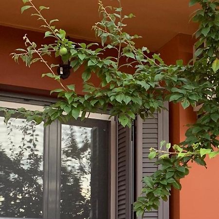 Lefkas Apartment Kalligoni Dış mekan fotoğraf